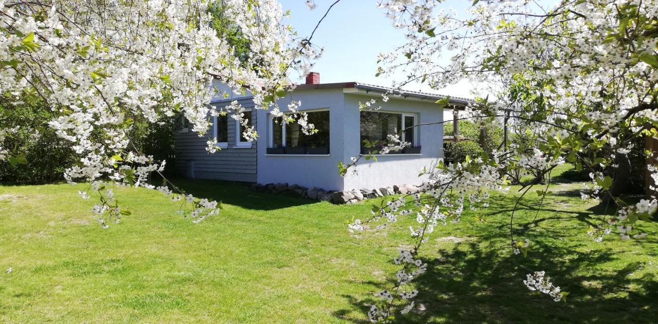 Drifthof Apartment Glowe Exterior photo
